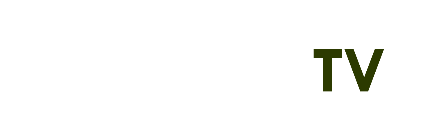 app giải toán miễn phí